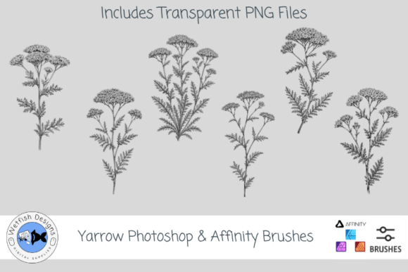 Download Yarrow Photoshop &amp; Affinity Brushes - Affinity brushes Collection