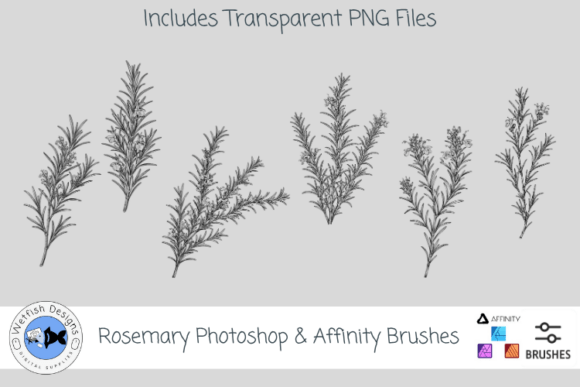 Download Rosemary Photoshop &amp; Affinity Brushes - Affinity brushes Collection